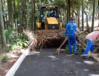 Bosque municipal de Apucarana passa por melhorias e Reabre no sábado