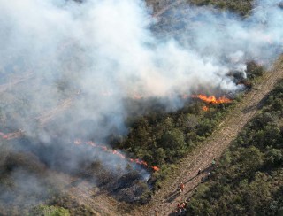 Com incêndios, bombeiros registraram aumento de 10% no total de ocorrências em 2024