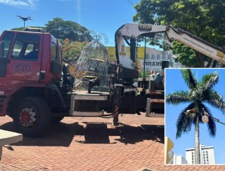 Apucarana se prepara para os 81 anos com reformas e grande festa na Praça Rui Barbosa