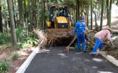 Bosque municipal de Apucarana passa por melhorias e Reabre no sábado