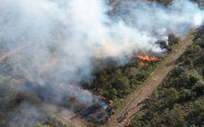 Com incêndios, bombeiros registraram aumento de 10% no total de ocorrências em 2024